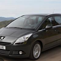 ruota di scorta peugeot 5008 fino a 2016 205/55R16