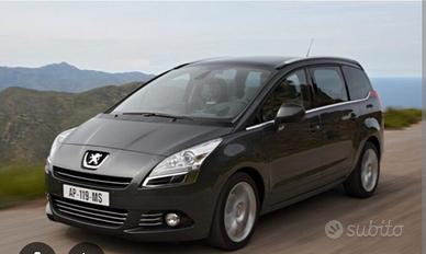 ruota di scorta peugeot 5008 fino a 2016 205/55R16