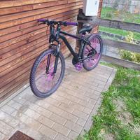 WHELIEE BIKE/MTB