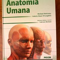 Anatomia umana piccin, mckinley