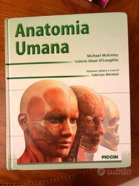Anatomia umana piccin, mckinley