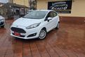 Ford Fiesta 1.5 TDCi 75CV 5 porte Titanium