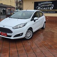 Ford Fiesta 1.5 TDCi 75CV 5 porte Titanium
