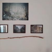 lotto di 18 cornici di galleria in legno e vetro 