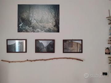 lotto di 18 cornici di galleria in legno e vetro 