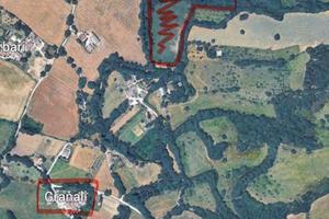 Terreno agricolo - San Severino Marche