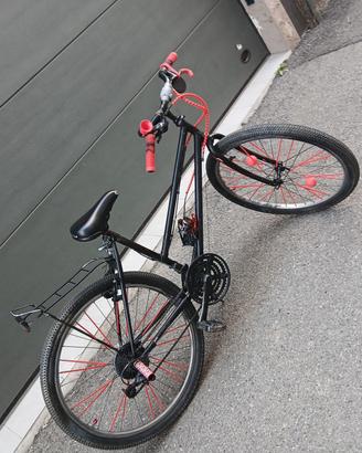 bici brasiliana 
