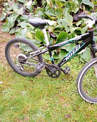 bicicletta