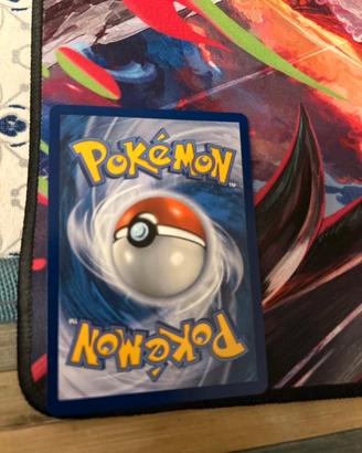 Carte pokemon