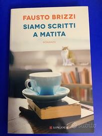 Siamo scritti a matita