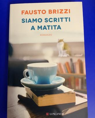 Siamo scritti a matita