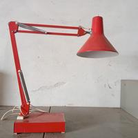 lampada e copri cerchio