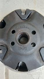 variatore Malossi
