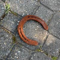 Ferro di cavallo x arredo giardino
