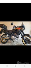 honda dominetor 
