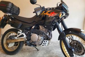 honda dominetor 