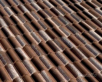 Tegole Coppo di Francia Wierer