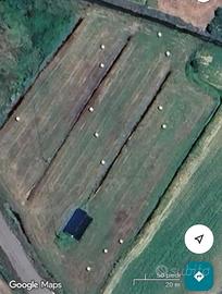 Terreno agricolo con annesso