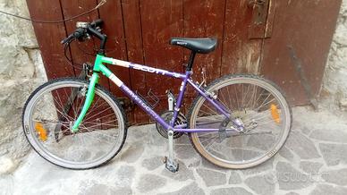 Bicicletta rampichino
