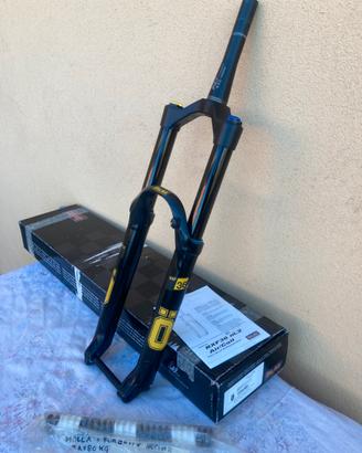 Forcella ohlins