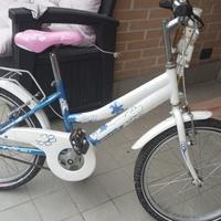 Bici raggio 20