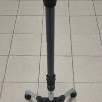 Bastone da passeggio