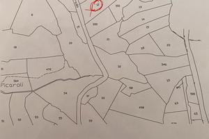 Terreno oliveto Affile (RM)