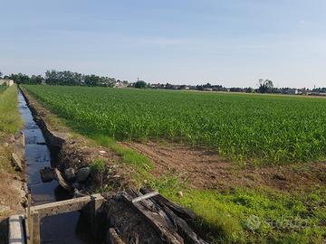 Terreno agricolo di 6300 mq a Castano Primo