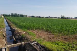 Terreno agricolo di 6300 mq a Castano Primo