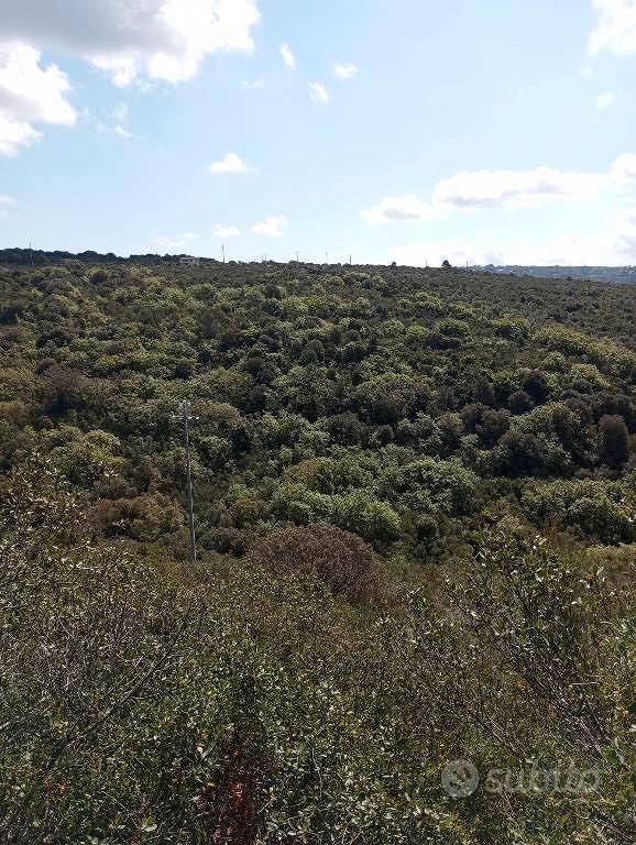 Bel Terreno a Logulentu mq 13981 - Vista 5