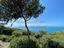 Immagine 9