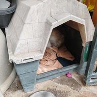 CUCCIA IN PLASTICA RESISTENTE TAGLIA MEDIO-PICCOLA