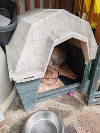 CUCCIA IN PLASTICA RESISTENTE TAGLIA MEDIO-PICCOLA