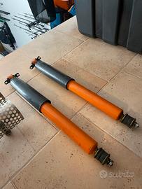 Ammortizzatori posteriori Camaro 79’