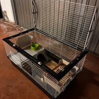 Gabbia per roditori/conigli/ +trasportin100cmx60cm