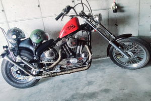 Harley davidson 883 chopper