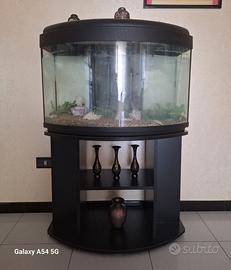 Acquario 