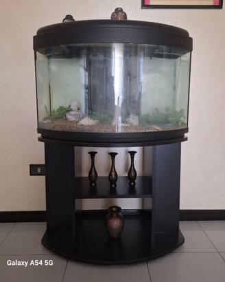 Acquario 