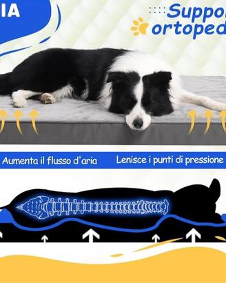 Cuccia ortopedica per cani