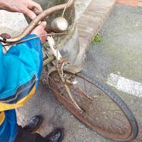 Bicicletta Cinelli Bazzano storica