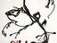 Immagine 10