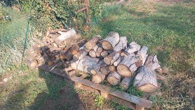 Legna da ardere