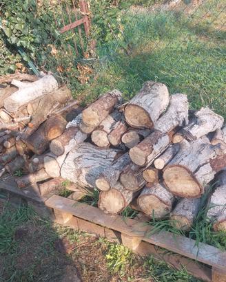 Legna da ardere