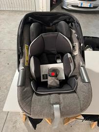Ovetto inglesina darwin infant