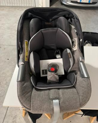 Ovetto inglesina darwin infant