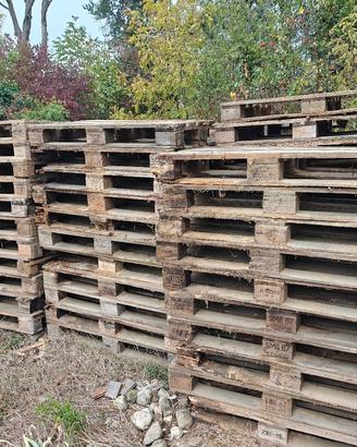 Bancali di legno