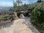 Immagine 28