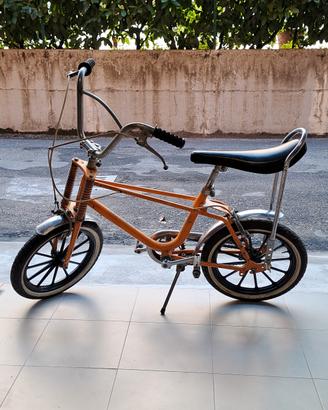BICI SALTAFOSSI 