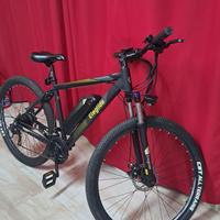 bici elettrica