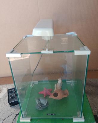 acquario 
